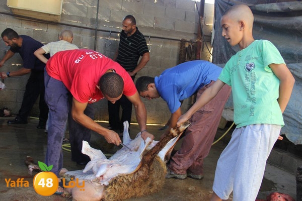 dabe7 ludj31 (17).JPG